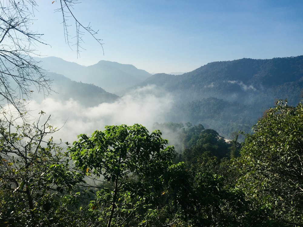 Meghamalai and Suruli falls tour from Theni