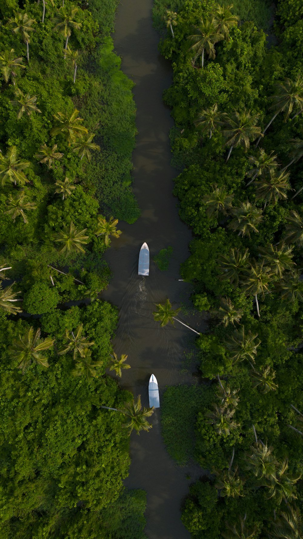 Thekkady Periyar lake boating package